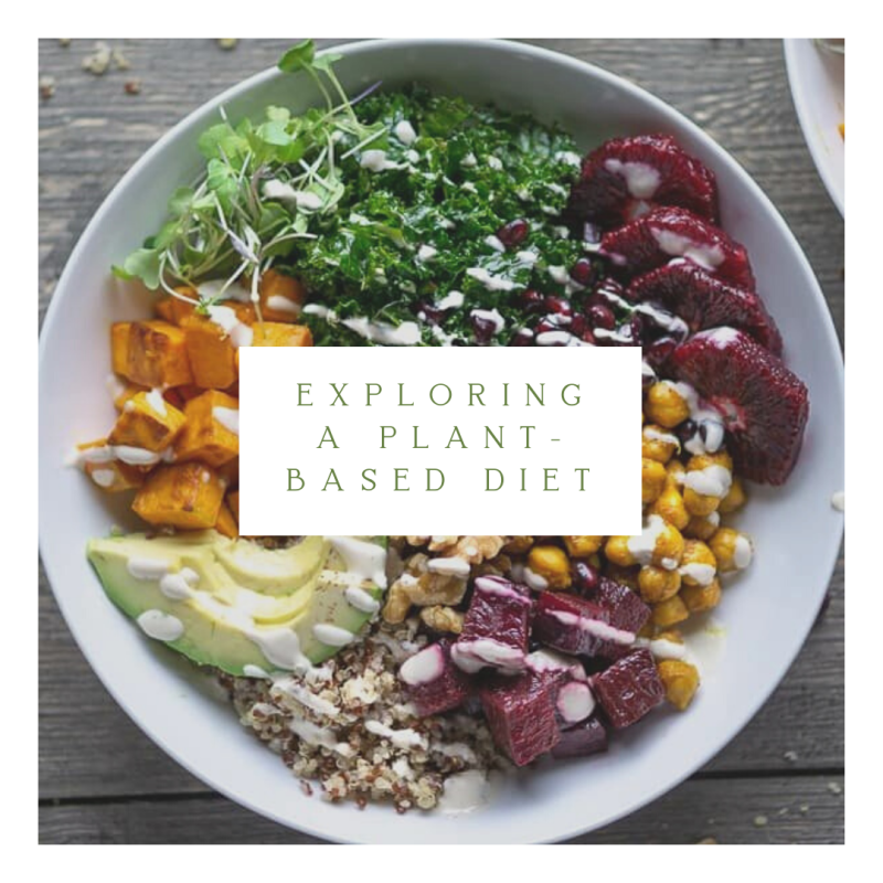 Exploring a Plant-Based&nbsp;Diet