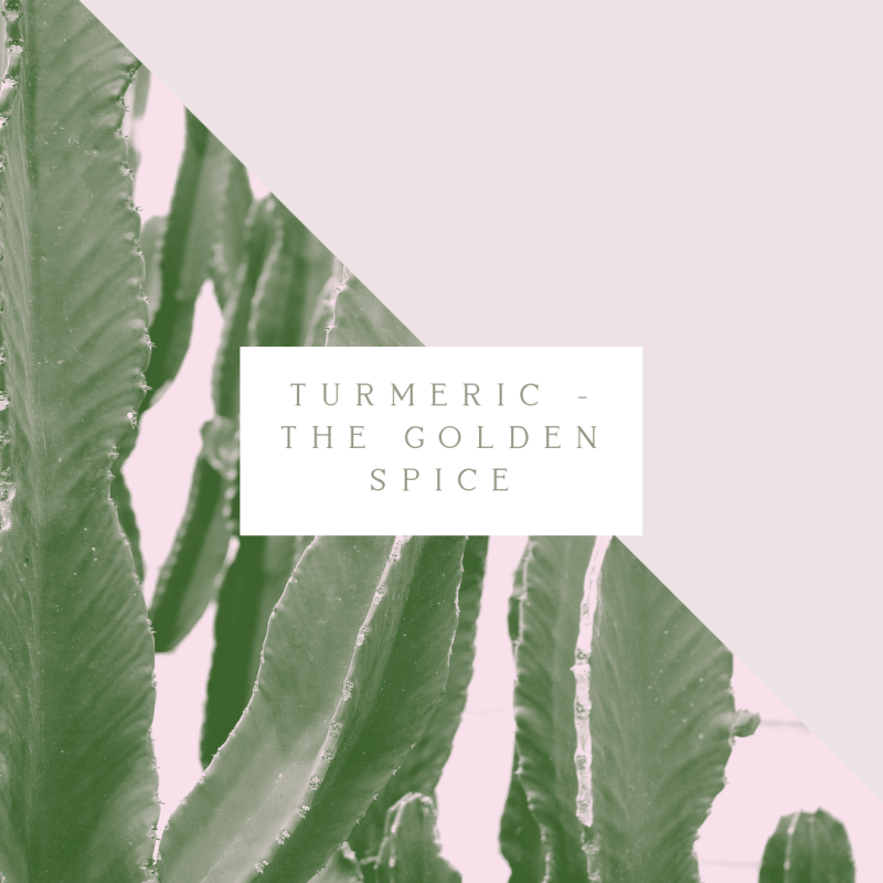 Turmeric – The Golden&nbsp;Spice